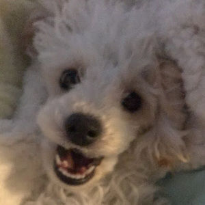 Meet your Posher, Maz